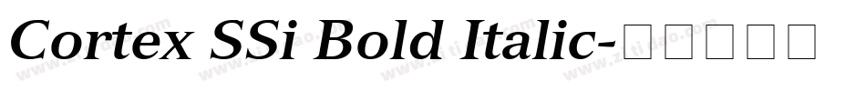 Cortex SSi Bold Italic字体转换